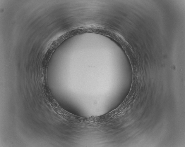 X0000069361016200606021447