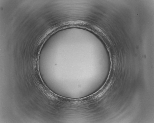 X0000069361017200606021447