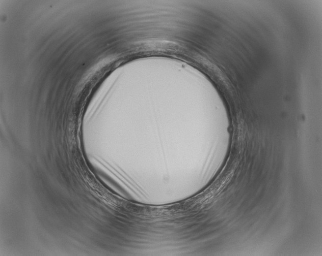 X0000069361019200606021448