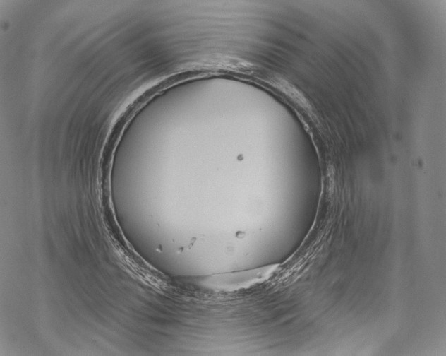 X0000069361020200606021448