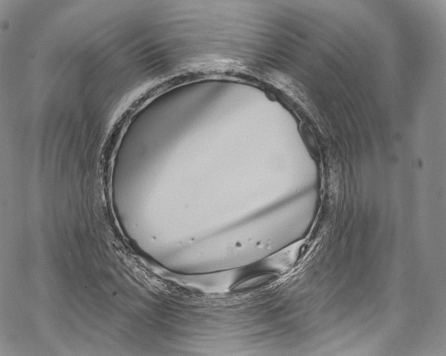 X0000069361022200606021448