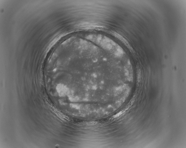 X0000069361023200606021448