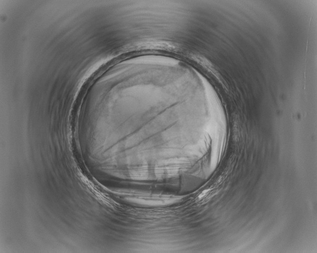 X0000069361024200606021448