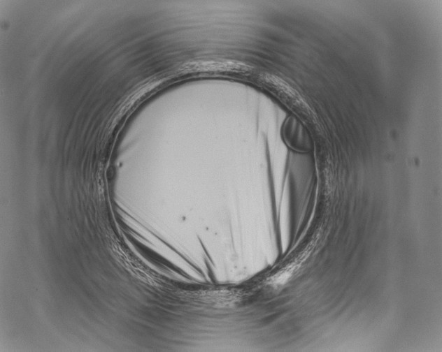 X0000069361025200606021448