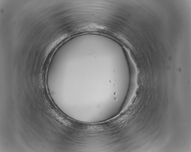 X0000069361026200606021448