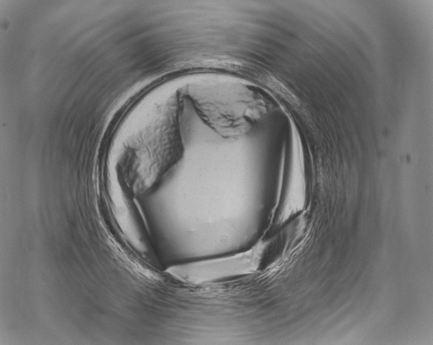 X0000069361028200606021448