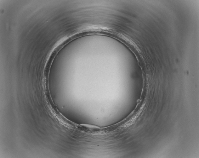 X0000069361029200606021448