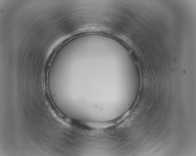 X0000069361030200606021448