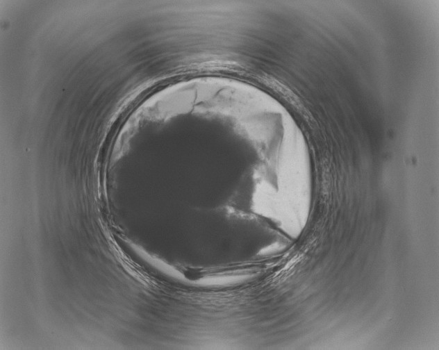 X0000069361031200606021448