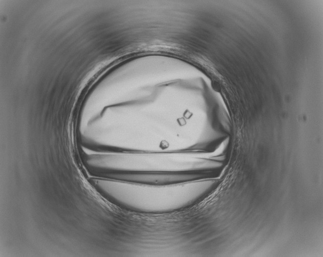 X0000069361032200606021448