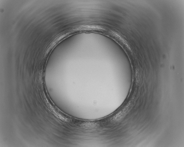 X0000069361033200606021448