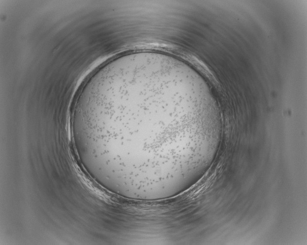 X0000069361036200606021448