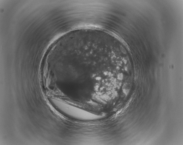 X0000069361037200606021448