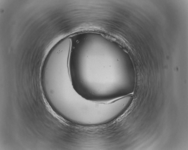 X0000069361038200606021448