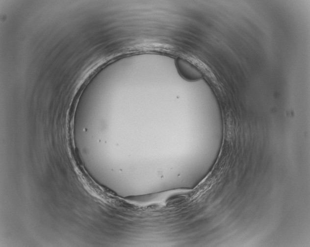 X0000069361039200606021448