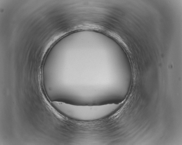 X0000069361040200606021448