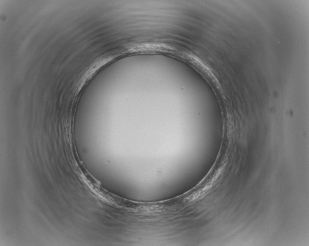 X0000069361041200606021448