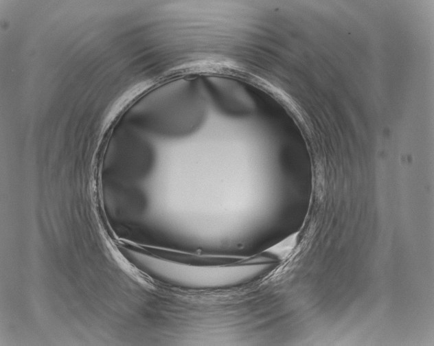 X0000069361042200606021448