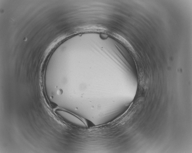 X0000069361043200606021448