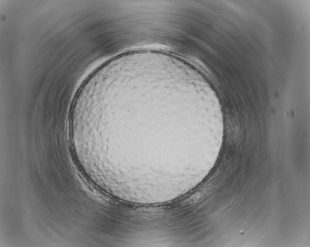 X0000069361044200606021448