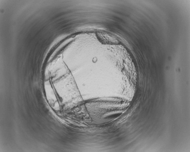 X0000069361045200606021448