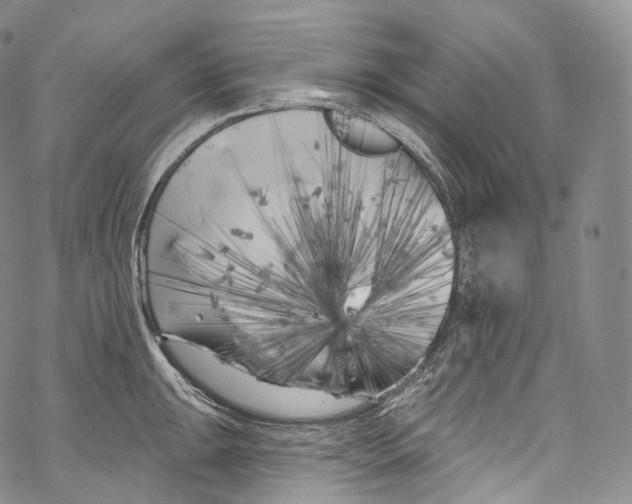 X0000069361047200606021448