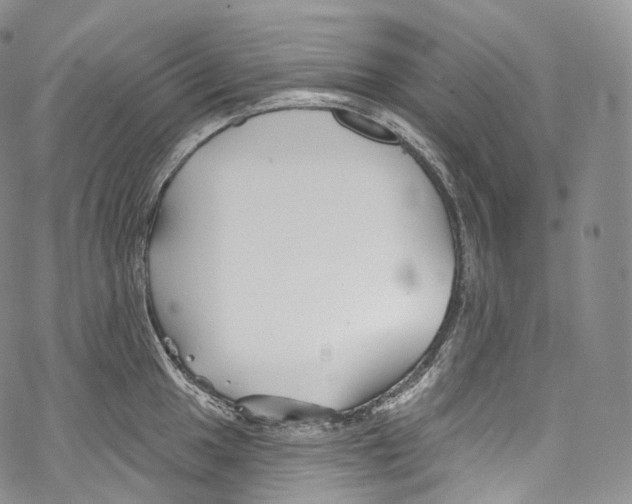 X0000069361049200606021448