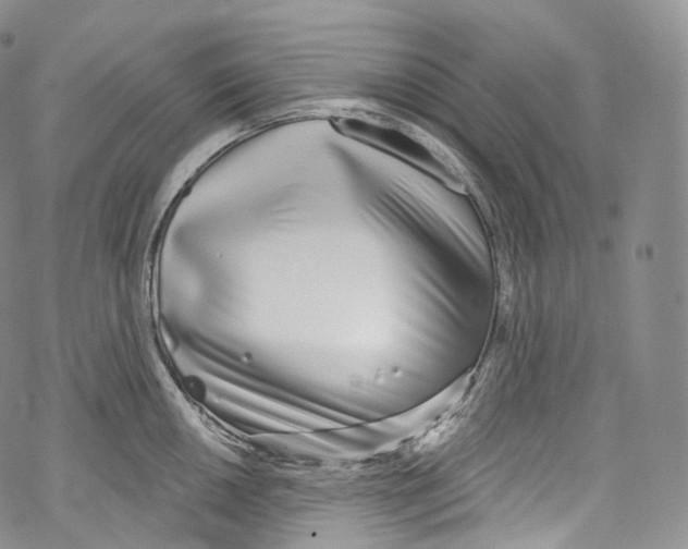 X0000069361050200606021448