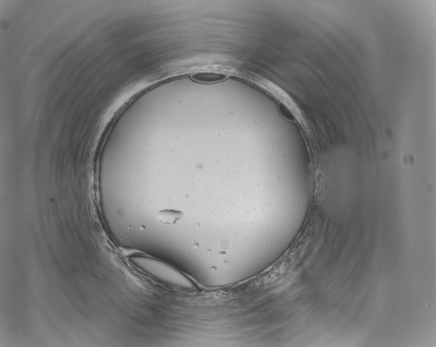 X0000069361051200606021448