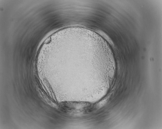 X0000069361052200606021448