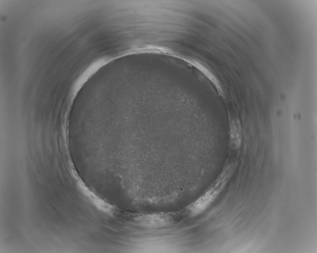 X0000069361054200606021448