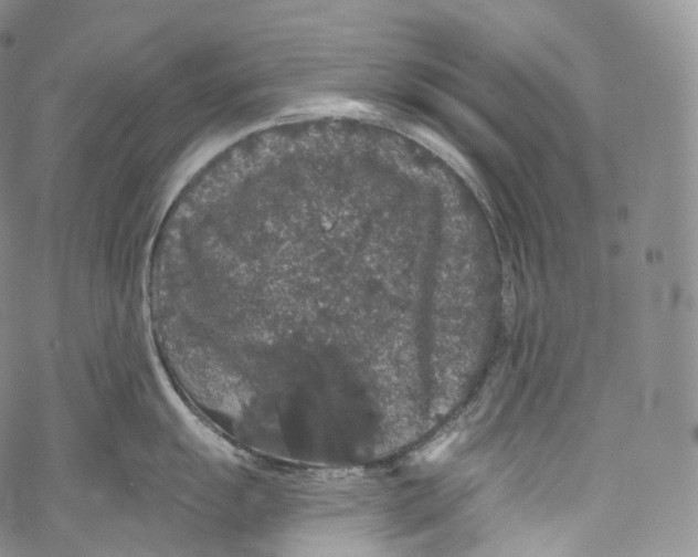 X0000069361055200606021448