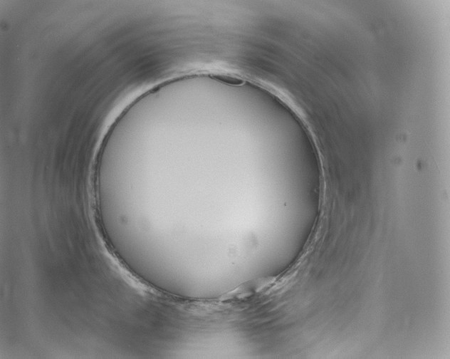 X0000069361056200606021448