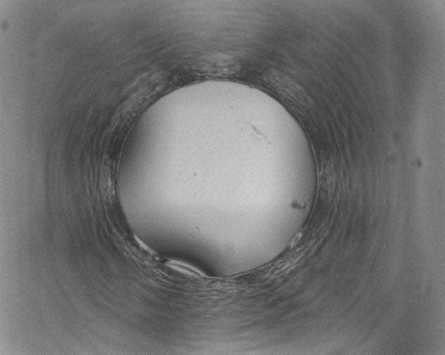 X0000069361058200606021447