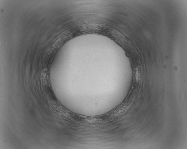 X0000069361059200606021447