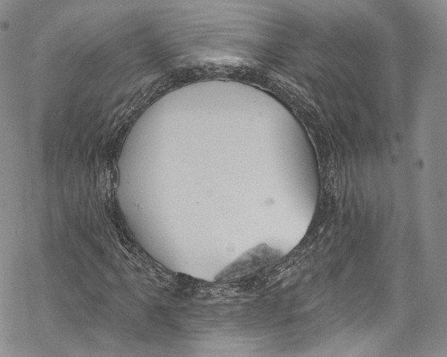 X0000069361061200606021447