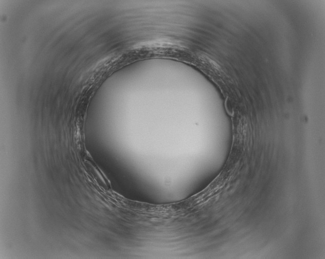 X0000069361062200606021447