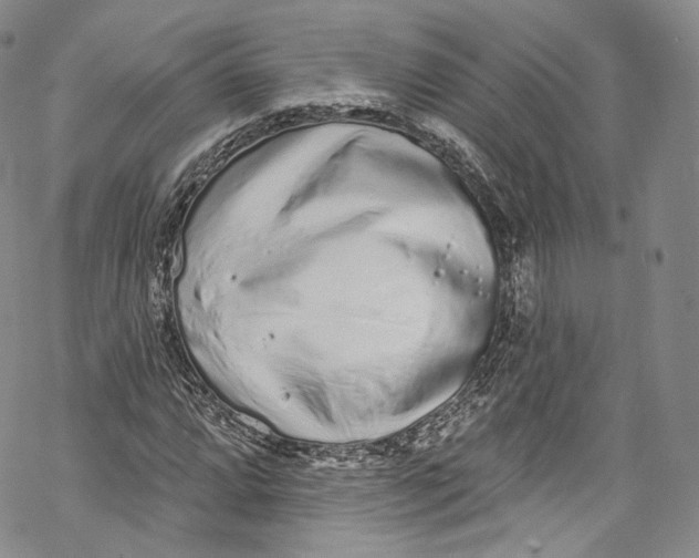 X0000069361064200606021447