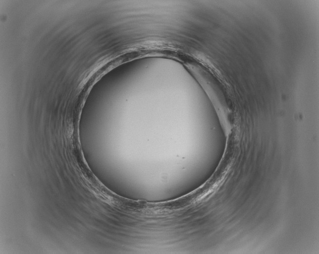 X0000069361065200606021447