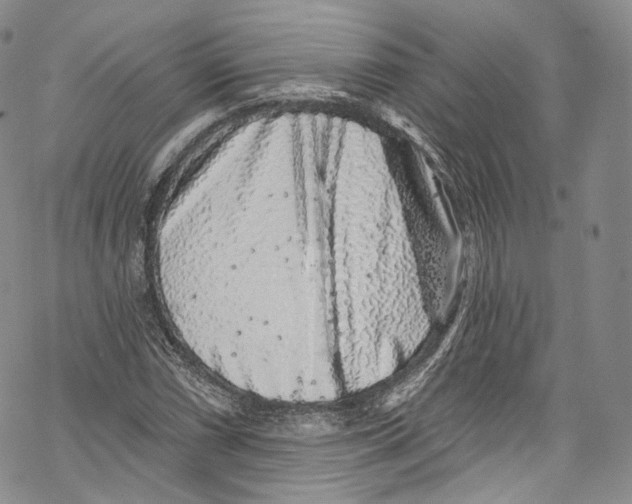 X0000069361066200606021447