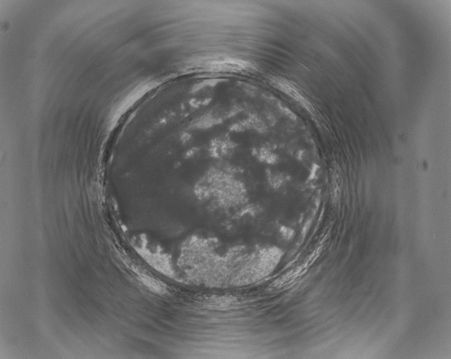 X0000069361071200606021447