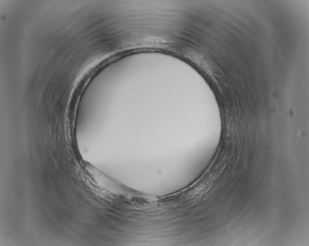 X0000069361072200606021447