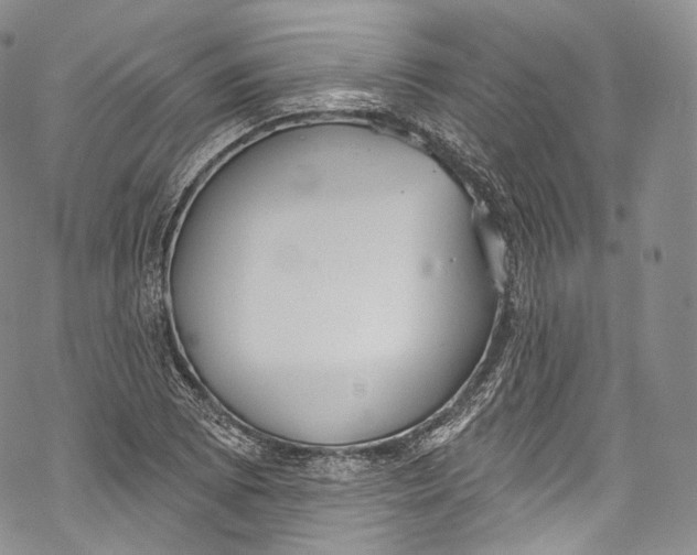 X0000069361073200606021447