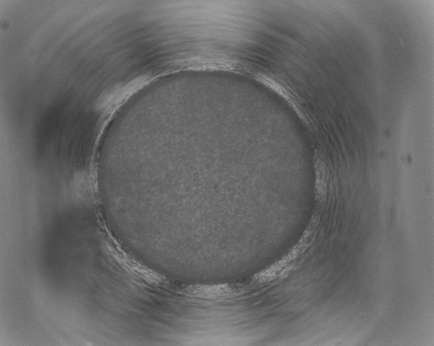 X0000069361074200606021447