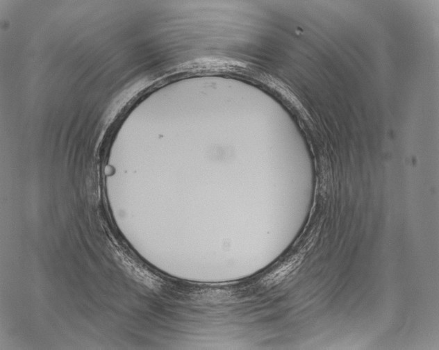 X0000069361075200606021447