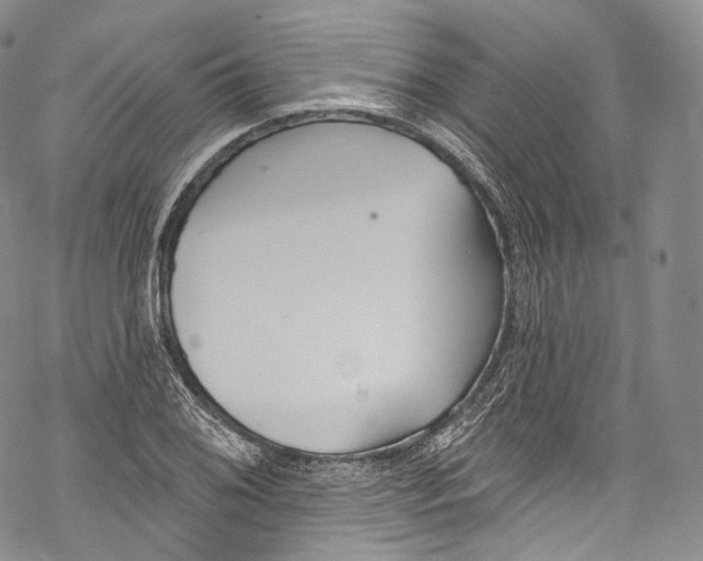 X0000069361076200606021447