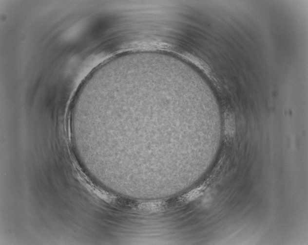 X0000069361078200606021447