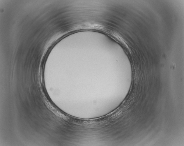 X0000069361080200606021447