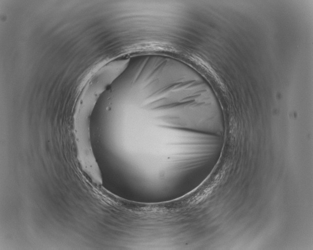 X0000069361081200606021447