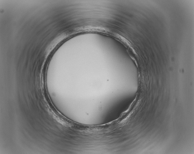 X0000069361082200606021447